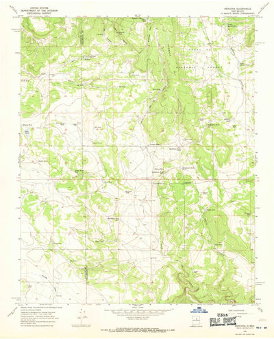 United States Geological Survey Rencona, NM (1966, 24000-Scale) digital map