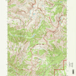 United States Geological Survey Rendezvous Peak, WY (1996, 24000-Scale) digital map