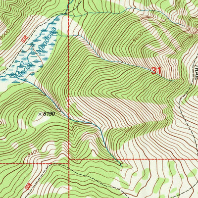 United States Geological Survey Rendezvous Peak, WY (1996, 24000-Scale) digital map