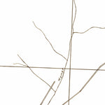 United States Geological Survey Renovo East, PA (1943, 62500-Scale) digital map