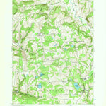 United States Geological Survey Rensselaerville, NY (1946, 24000-Scale) digital map