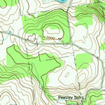 United States Geological Survey Rensselaerville, NY (1946, 24000-Scale) digital map