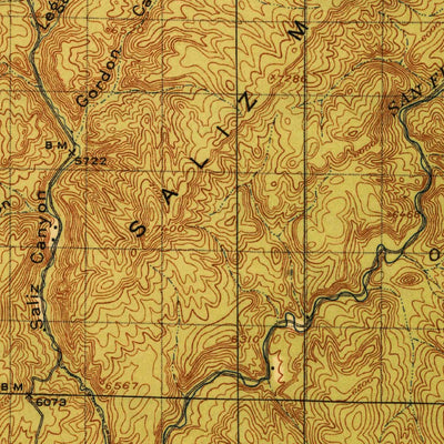 United States Geological Survey Reserve, NM (1918, 125000-Scale) digital map