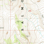 United States Geological Survey Reservoir Creek, ID-MT (1987, 24000-Scale) digital map