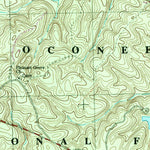 United States Geological Survey Resseaus Crossroads, GA (1978, 24000-Scale) digital map