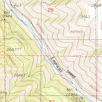 United States Geological Survey Reubens, ID (1984, 24000-Scale) digital map