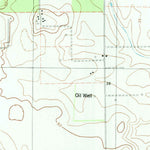 United States Geological Survey Ricardo, TX (1979, 24000-Scale) digital map
