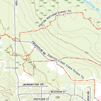 United States Geological Survey Rice Creek, FL (2021, 24000-Scale) digital map