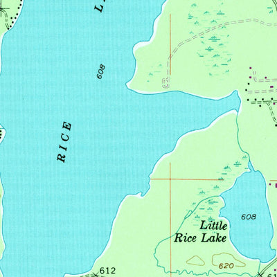 United States Geological Survey Rice Lake, MI (1954, 24000-Scale) digital map