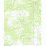 United States Geological Survey Rice Mountain, CO (1983, 24000-Scale) digital map