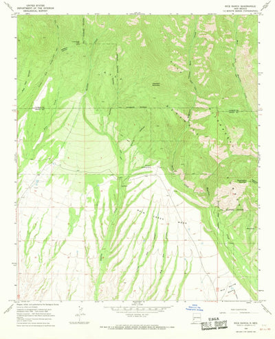 United States Geological Survey Rice Ranch, NM (1965, 24000-Scale) digital map