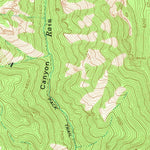 United States Geological Survey Rice Ranch, NM (1965, 24000-Scale) digital map