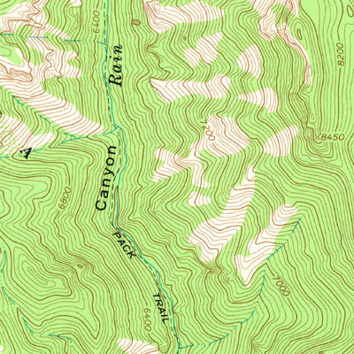 United States Geological Survey Rice Ranch, NM (1965, 24000-Scale) digital map