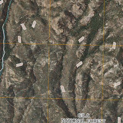 United States Geological Survey Rice Ranch, NM (2011, 24000-Scale) digital map