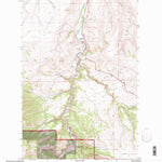 United States Geological Survey Riceville, MT (1995, 24000-Scale) digital map