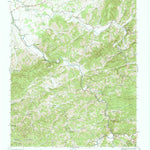 United States Geological Survey Richardson Cove, TN (1940, 24000-Scale) digital map