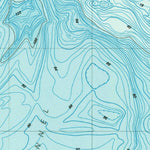 United States Geological Survey Richardson, WA (1977, 24000-Scale) digital map