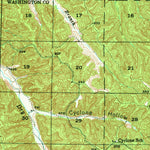 United States Geological Survey Richwoods, MO (1946, 62500-Scale) digital map