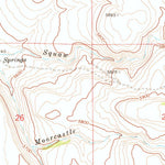 United States Geological Survey Riddle, ID (1971, 24000-Scale) digital map