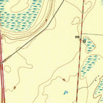 United States Geological Survey Ridgeville, GA (1993, 24000-Scale) digital map