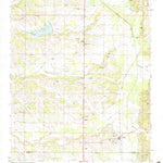 United States Geological Survey Rienzi, MS (1982, 24000-Scale) digital map