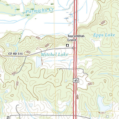 United States Geological Survey Rienzi, MS (2021, 24000-Scale) digital map