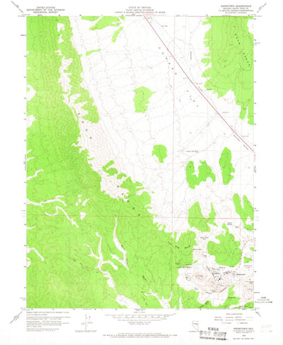 United States Geological Survey Riepetown, NV (1958, 24000-Scale) digital map