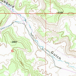 United States Geological Survey Rifle, CO (1952, 24000-Scale) digital map