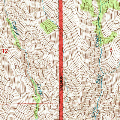 United States Geological Survey Riggins, ID (1995, 24000-Scale) digital map