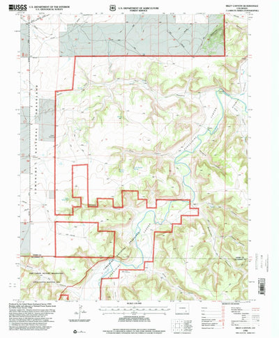 United States Geological Survey Riley Canyon, CO (1996, 24000-Scale) digital map
