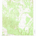 United States Geological Survey Riley, NM (1985, 24000-Scale) digital map