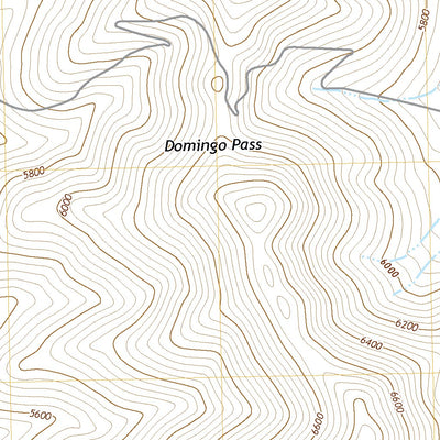 United States Geological Survey Rincon Flat, OR (2020, 24000-Scale) digital map