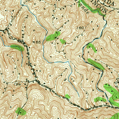 United States Geological Survey Rincon, PR (1955, 20000-Scale) digital map