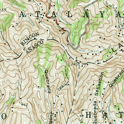 United States Geological Survey Rincon, PR (1966, 20000-Scale) digital map
