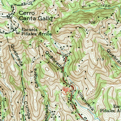 United States Geological Survey Rincon, PR (1966, 20000-Scale) digital map