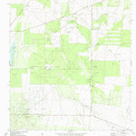 United States Geological Survey Rincon, TX (1972, 24000-Scale) digital map