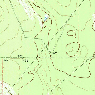 United States Geological Survey Rincon, TX (1972, 24000-Scale) digital map