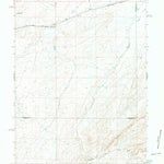 United States Geological Survey Riner, WY (1966, 24000-Scale) digital map