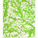 United States Geological Survey Ringwood, NC (1963, 24000-Scale) digital map