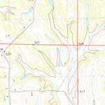 United States Geological Survey Ripley, MS (1982, 24000-Scale) digital map