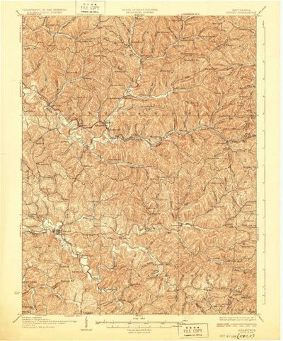 United States Geological Survey Ripley, WV (1928, 62500-Scale) digital map