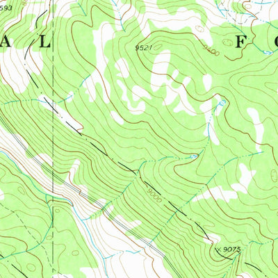 United States Geological Survey Ripple Creek, CO (1977, 24000-Scale) digital map