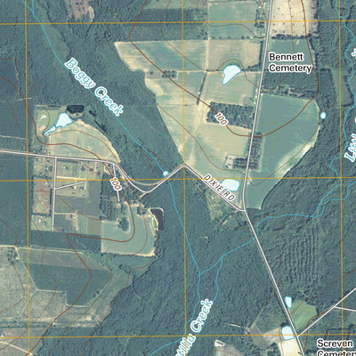 United States Geological Survey Ritch, GA (2011, 24000-Scale) digital map