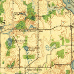 United States Geological Survey Rives Junction, MI (1921, 62500-Scale) digital map