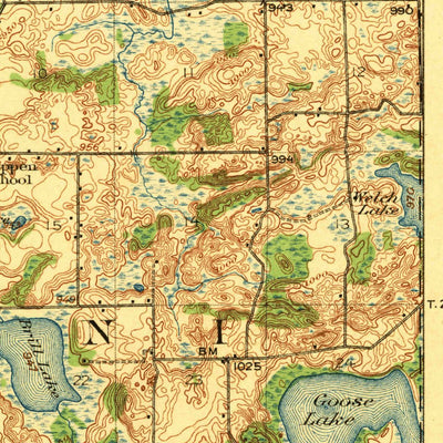United States Geological Survey Rives Junction, MI (1921, 62500-Scale) digital map