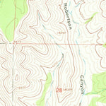 United States Geological Survey Robertson Canyon, NM (1963, 24000-Scale) digital map