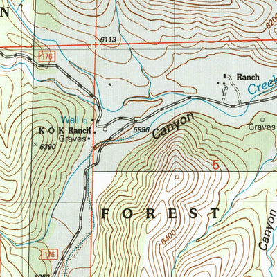 United States Geological Survey Robertson Canyon, NM (2004, 24000-Scale) digital map