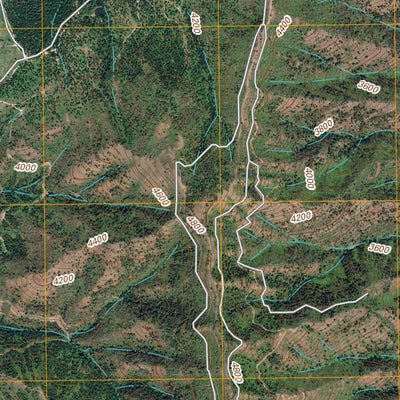 United States Geological Survey Robinette Mountain, WA (2011, 24000-Scale) digital map