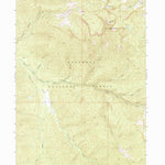 United States Geological Survey Robinson Mountain, MT (1963, 24000-Scale) digital map