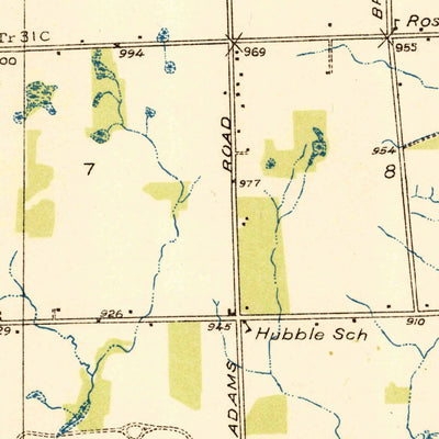 United States Geological Survey Rochester, MI (1936, 31680-Scale) digital map
